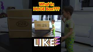 What in HUGE Box??? Kids Transport SPORTBIKE