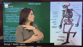 Biologji 7 - Skeleti i njeriut