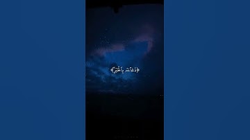 القارئ : احمد الحمادي