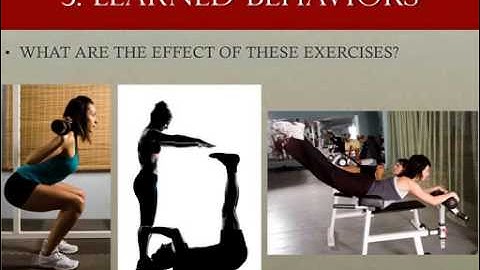 THE ANTI-STRETCHING SOLUTION TO CHRONIC TIGHTNESS with Evan Osar