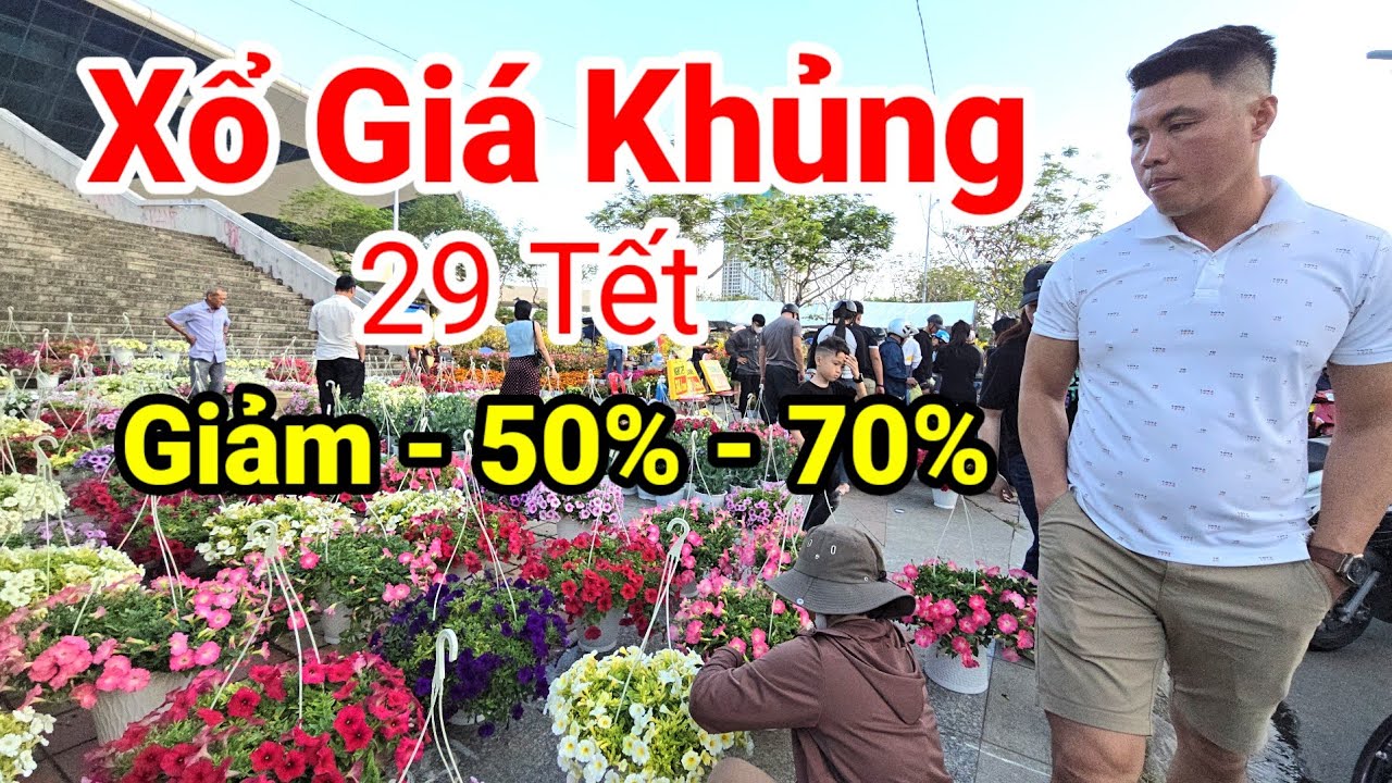 Tin Nóng Chợ Hoa Tết Đà Nẵng: Đồng Loạt Giảm Giá | Bà Con Mua Hoa Đông Nghẹt Xuân Bính Ngọ