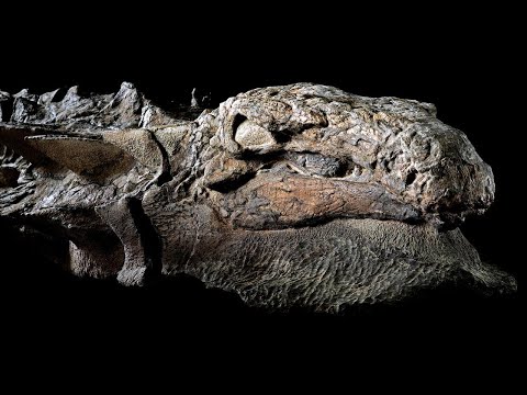 احدث 6 اكتشافات اثرية مذهلة 2020 | حفرية ديناصور كامل متحجر هائل | اهم اثر اوروبي في التاريخ
