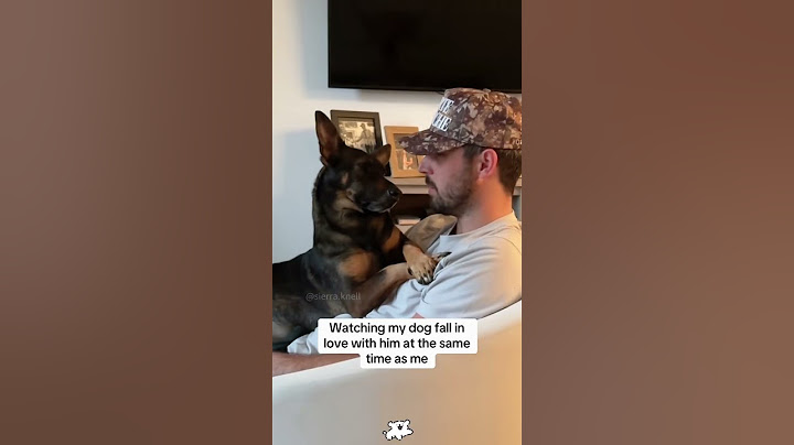 The dog stole my man#dog #pupoy#man#boyfriend #pet#funnyvideos #love