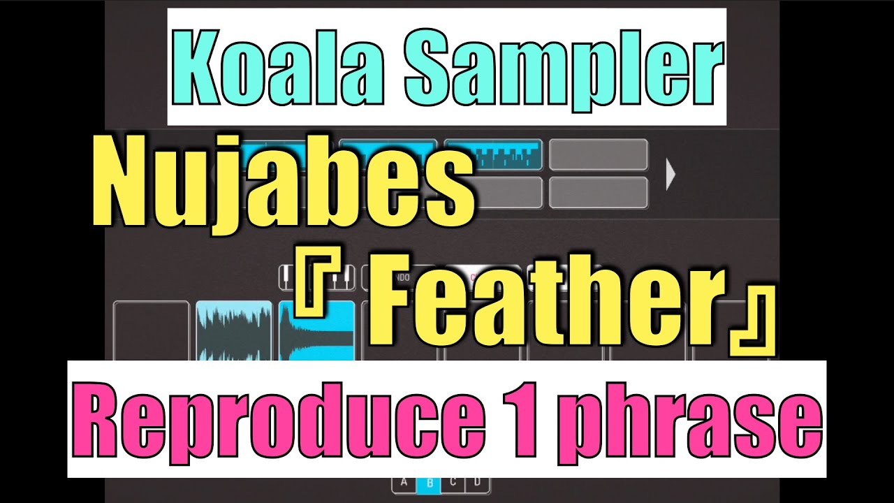 Koala Samplerで解説 サンプリングの解説とやり方 Youtube Koala Samplerで解説 サンプリングの解説とやり方 Youtube