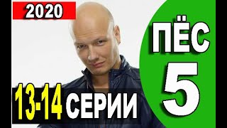 ПЁС 5 СЕЗОН 13, 14 СЕРИЯ (сериал 2020) АНОНС И ДАТА ВЫХОДА