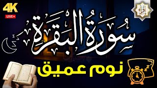 سورة البقرة كاملة, رقية للبيت, وعلاج للسحرسورة البقرة طاردة الشياطين تلاوة للنوم | Surah Al Baqarah