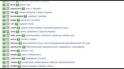 Experiences of a lifetime (Vocabulary)