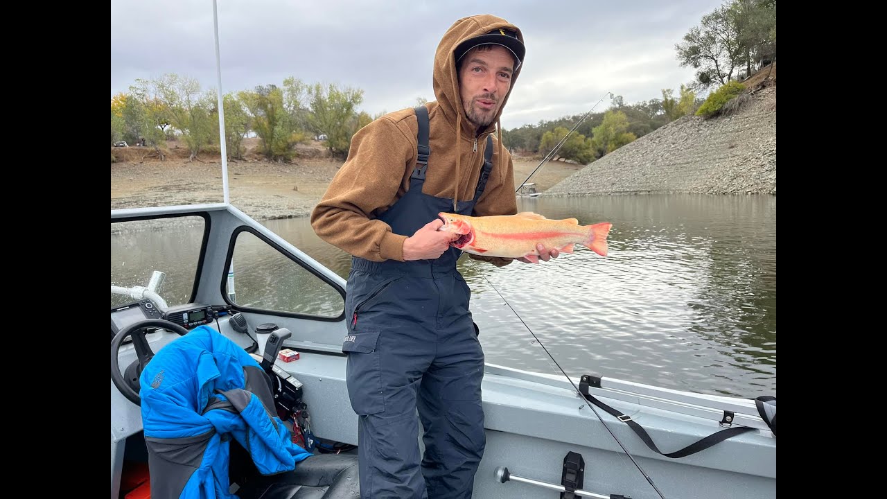 LAKE AMADOR GOLD! trout fishing and camping! YouTube
