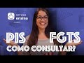 Como consultar o PIS e FGTS? - Serasa Ensina
