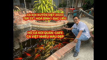 TẬP 23 - CÁ KOI XUYÊN VIỆT 2023 - HỒ CÁ KOI QUÁN CAFE CÁ VIỆT NHIỀU MÀU ĐẸP - HOÀ BÌNH - BẠC LIÊU