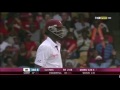 Darren sammy perfect reply to shane watson 