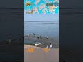 Jalan Ini Cuma Muncul Saat Air Laut Surut!?