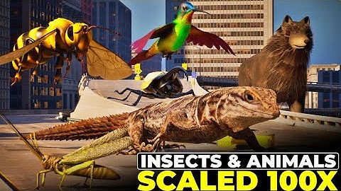 What If Animals, Insects, Fishes, and Reptiles Scaled 100 Times Bigger? | Imaginary Size Comparison