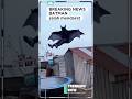 Batman falls #shorts