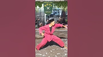 “Indonesia’s Timeless Martial Arts: Stunning Javanese Heritage Performance”