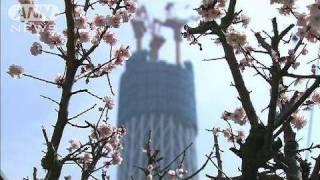 【特集】スカイツリーの建つ街で（4）「蒼い空の下で」1/2