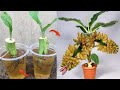 SUPER SPECIAL TECHNIQUE For Propagating Bananas With Aloe Vera Super Fast Growth