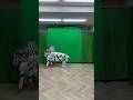 【Zebra birth】#zebra #funny