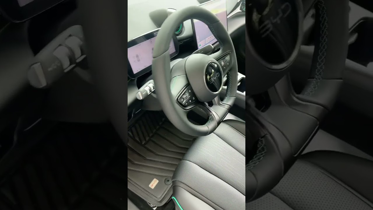 Byd dolphin ev 2025 smart driving 410km small ev car 