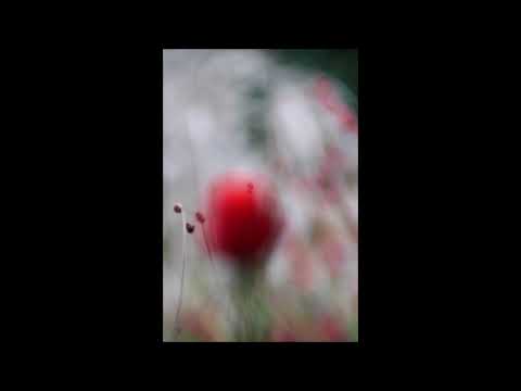 Max Richter - Autumn Music 1