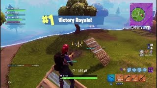 13 Kill Solid Gold Win (Fortnite Battle Royale)