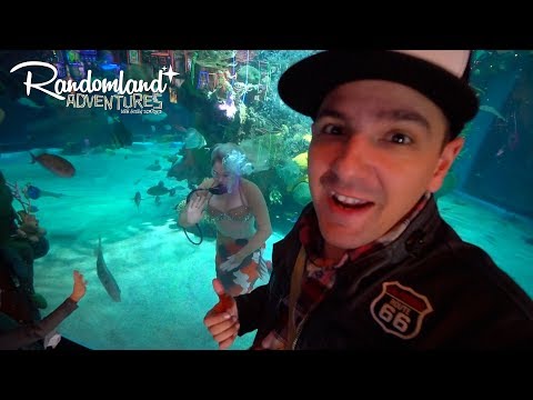 I found a Mermaid! Las Vegas NV