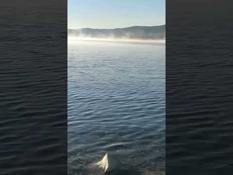 سد تنگ حمام سزپل ذهاب بیاد عزیزی که دیگر بین ما نیست