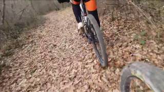 GavignanoBosco-parte1-RuoteGrasseFiano