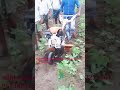 Ganesh agencies Stihl tpt