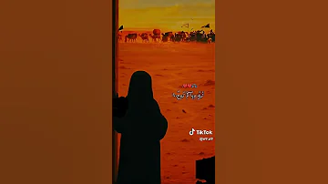 يالماشي لبعيد عليلتكم بالديار من اجمل قصائد مؤتضى حرب 2025 