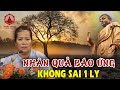 Nhn qu bo ng khng sai 1 ly  cu chuyn c tht pht t diu hin  pht php nhim mu  pgvn