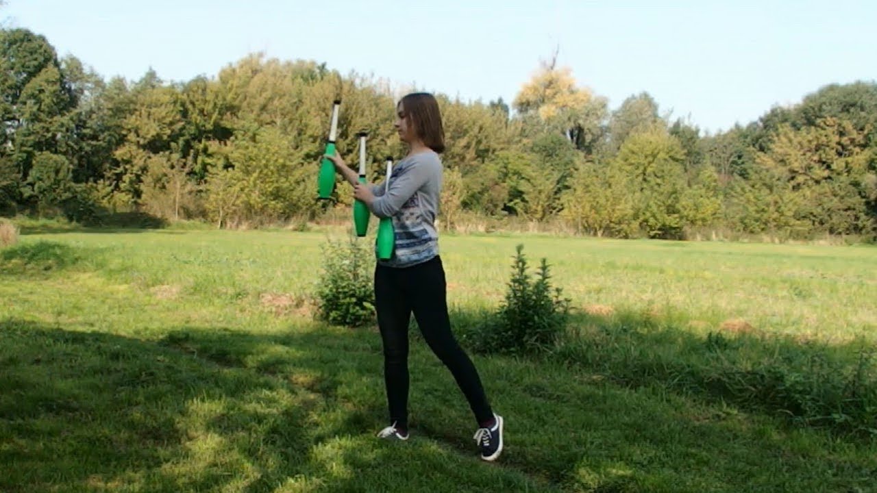 Dolphins won't hurt you