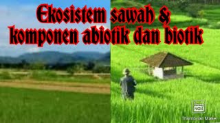 Ekosistem sawah terdapat komponen abiotik dan biotik