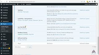 Plug In - User Role Editor
