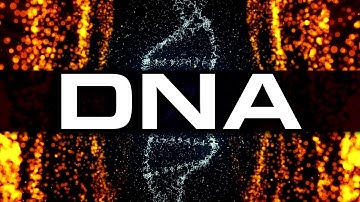 Your DNA