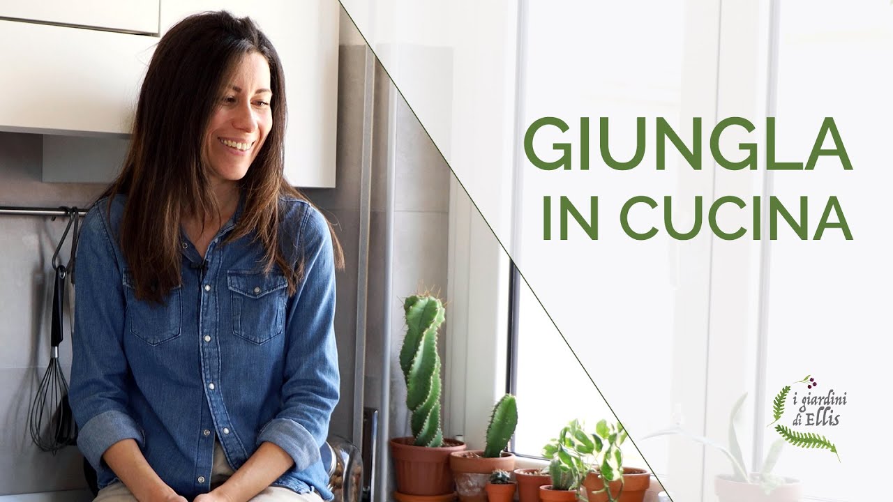 Arredare casa con le piante - Giungla in cucina!