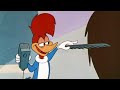 Woody el barbero | 2.5 Horas de Episodios Clásicos | El Pájaro Loco