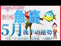 一人で歯を食いしばるのは終わり🧚‍♀️魚座♓さん【5月後半の運勢☆16日〜31日の流れ・仕事運・人間関係】#タロット占い #直感リーディング #2023