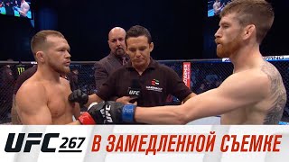 UFC 267: В замедленной съемке