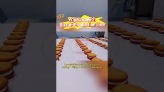 Complete Cream Sandwich Biscuit Making Line | From Dough to Packaging#biscuit #sandwichbiscuits