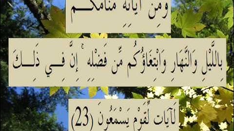 القران الكريم سورة الروم الأية 23.wmv