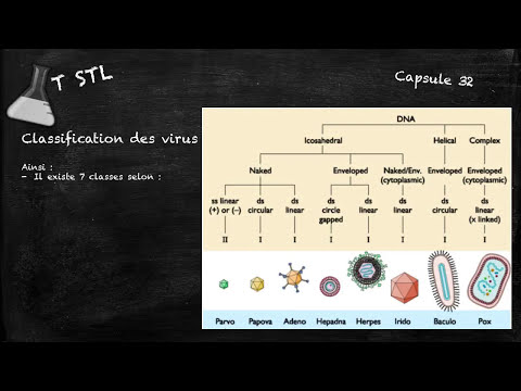 Vidéo: Séquençage Du Génome Entier Et Variations Génétiques De Plusieurs Souches De Virus De La Dengue De Type 1 De L'épidémie Inhabituelle De Dengue De Au Vietnam