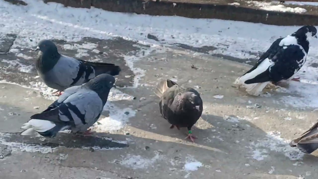 18 января 2026 г.