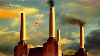 Video thumbnail of "Pink Floyd - Pigs (Three Different Ones) Short Version with Lyrics"