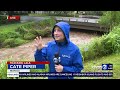 Manoa Stream quiets down after levels rise early Sunday