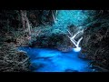 Sleep Music 24/7, Sleep Meditation, Relaxing Music, Calming Music, Insomnia, Study Music, Zen, Sleep