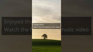 Serene Water Stream and Nature Sounds #shorts