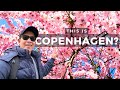 FIRST TIME in COPENHAGEN DENMARK Copenhagen City Tour