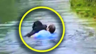 Zoo Workers Refuse To Help Drowning Chimp So Man Visiting Jumps In To Save Him