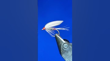 Iron Blue Dun Fly Pattern!